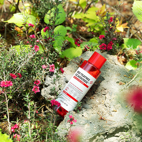 Red Teatree Cicassoside Final Solution Toner - Focallure™ Arabia