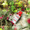 Red Teatree Cicassoside Final Solution Toner - Focallure™ Arabia