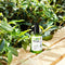 Super Matcha Pore Tightening Serum - Focallure™ Arabia