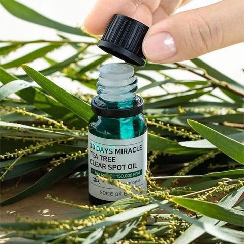 30 Days Miracle Tea Tree Clear Spot Oil - Focallure™ Arabia