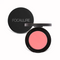 Colormix® Blush #B02 SMASHING - Focallure™ Arabia