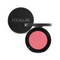 Colormix® Blush #B05 FETCHING - Focallure™ Arabia