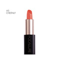 Focallure™ Lacquer Lipstick #05 CHESTNUT - Focallure™ Arabia