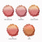 Ombre® Silky Powder Blush #01 PINK LEMONADE - Focallure™ Arabia