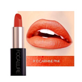 Focallure™ Lacquer Lipstick #10 CARMINE PINK - Focallure™ Arabia