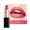 Focallure™ Lacquer Lipstick #17 BRICK RED - Focallure™ Arabia