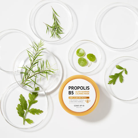 Propolis B5 Glow Barrier Calming Mask