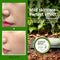 Super Matcha Pore Clean Clay Mask - Focallure™ Arabia